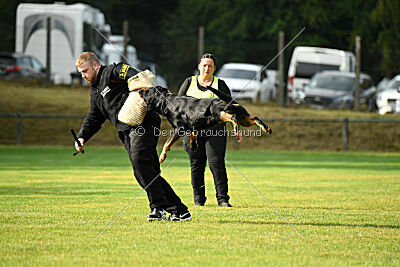 Enox vom Spöcker Wald