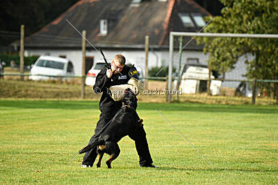 Enox vom Spöcker Wald