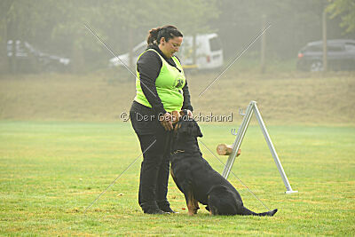 Enox vom Spöcker Wald