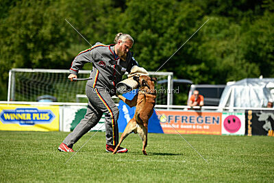 Enzo vom Buxtehuder Bullen