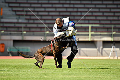 Erebus Drive Unlimited