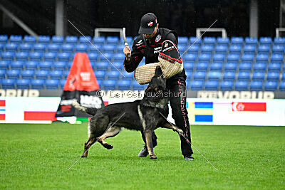 Erhard of Spirit Tom