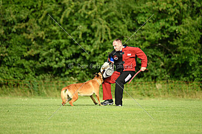 Erik vom roten Drachen