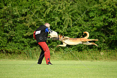 Erik vom roten Drachen