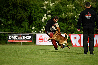 Erik vom roten Drachen