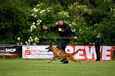 Erik vom roten Drachen