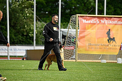 Erik vom roten Drachen
