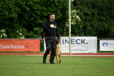 Erik vom roten Drachen