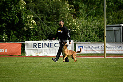 Erik vom roten Drachen