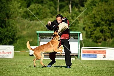 Erik vom roten Drachen