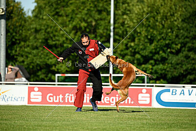 Erik vom roten Drachen