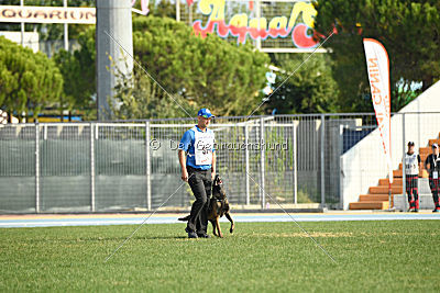 Erja-Ella Marshall Dogs