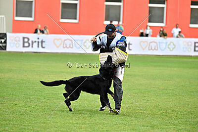 Eron von Battenhauser