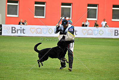 Eron von Battenhauser