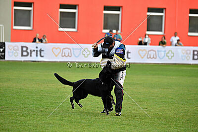 Eron von Battenhauser