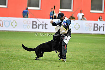 Eron von Battenhauser