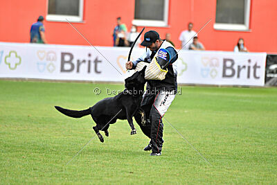 Eron von Battenhauser