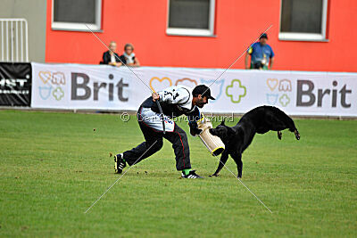 Eron von Battenhauser