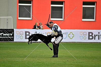 Eron von Battenhauser