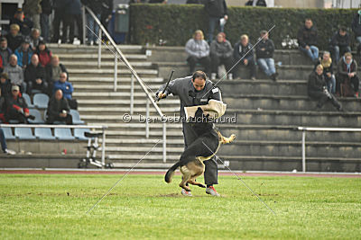 Eron von der Mohnwiese