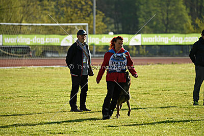 Es-Flindtto's Hasco