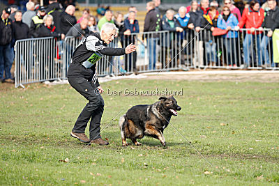 Eschna von Schloß Bothmer