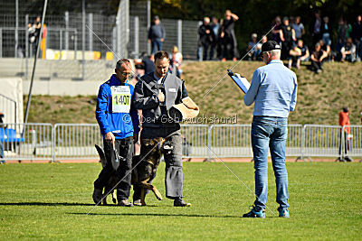 Esh von der schwarzen Irma