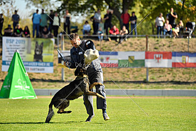 Esh von der schwarzen Irma