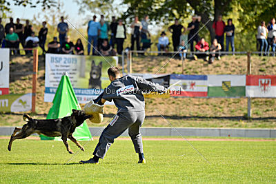 Esh von der schwarzen Irma