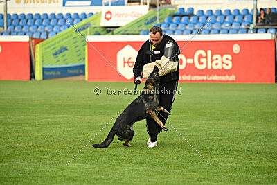 Eskarina Smith Arabrab