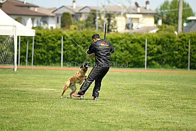 Esperanza Exe de Marina de los Molinos