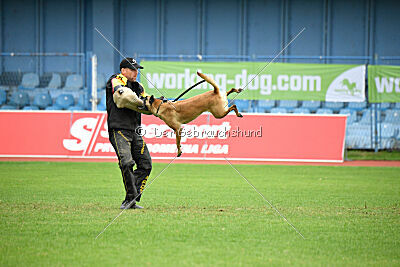 Esperanza Exe de Marina de los Molinos
