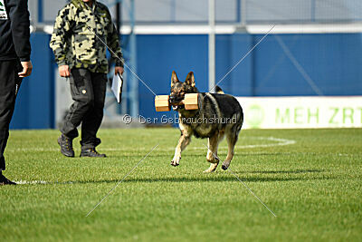 Estrellest Queenwolf Aku