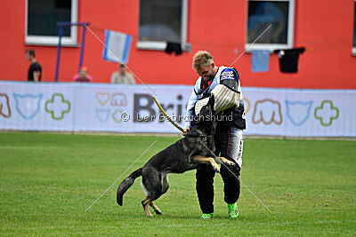 Estrellest Särts Sahara