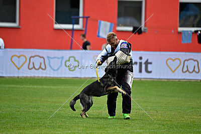 Estrellest Särts Sahara