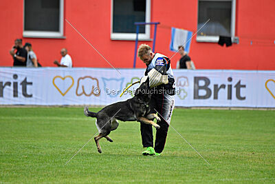 Estrellest Särts Sahara