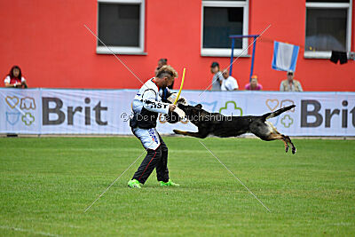 Estrellest Särts Sahara