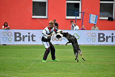 Estrellest Särts Sahara