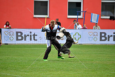 Estrellest Särts Sahara