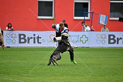 Estrellest Särts Sahara