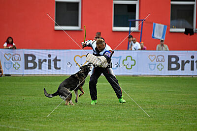 Estrellest Särts Sahara