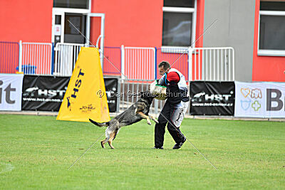 Estrellest Särts Sahara