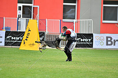 Estrellest Särts Sahara