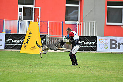 Estrellest Särts Sahara