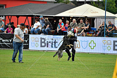 Estrellest Särts Sahara