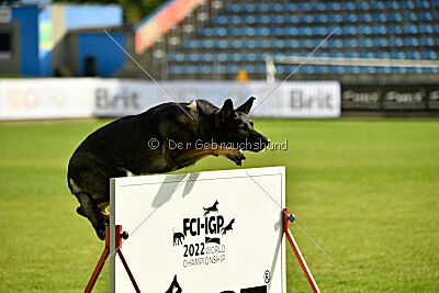 Estrellest Särts Sahara