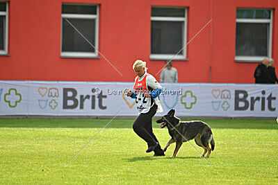 Estrellest Särts Sahara