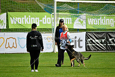 Estrellest Särts Sahara