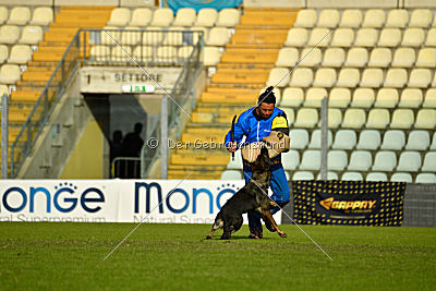 Estrellest von Väle Virtin