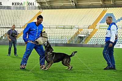 Estrellest von Vector